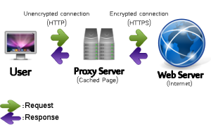 Proxy Server Flow